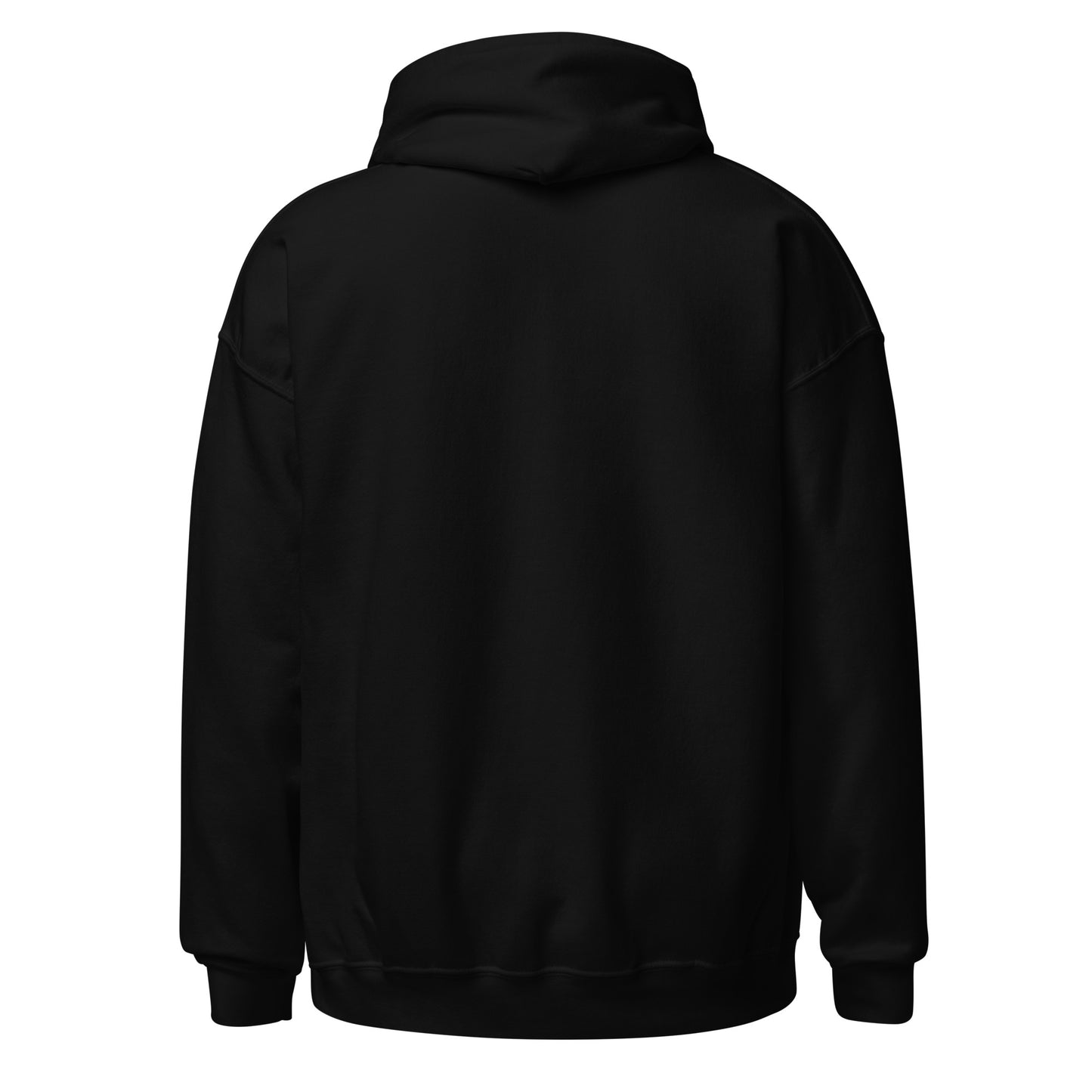 Basic Embroidered Pitchside Unisex Hoodie- Black